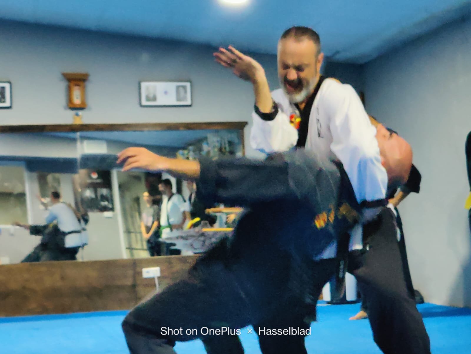 Icono de Hapkido