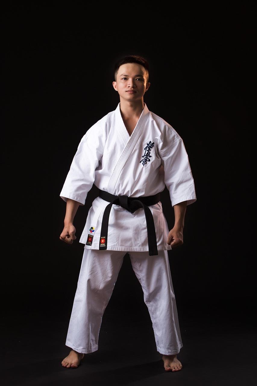 Icono de Karate Do